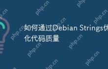 如何通过Debian Strings优化代码质量
