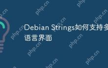 Debian Strings如何支持多语言界面