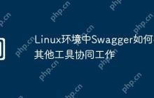 Linux环境中Swagger如何与其他工具协同工作