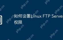 如何设置Linux FTP Server权限