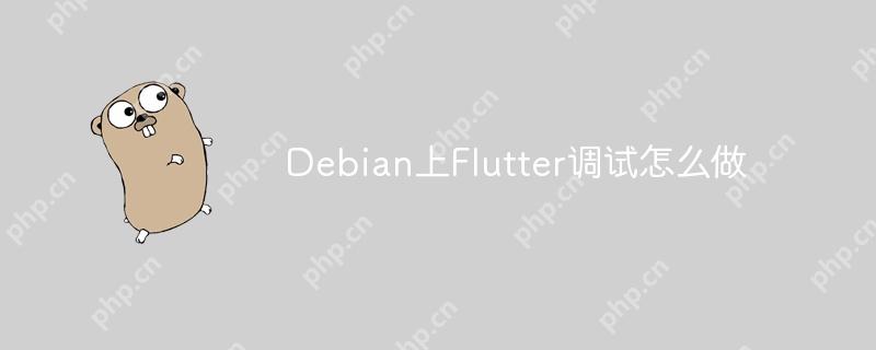 Debian上Flutter調試怎么做-小浪學習網