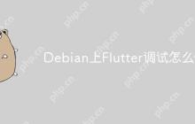 Debian上Flutter调试怎么做