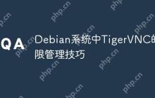 Debian系统中TigerVNC的权限管理技巧