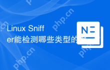 Linux Sniffer能检测哪些类型的网络流量
