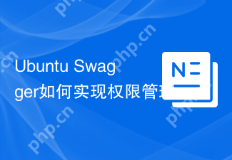 Ubuntu Swagger如何实现权限管理