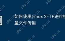 如何使用Linux SFTP进行批量文件传输