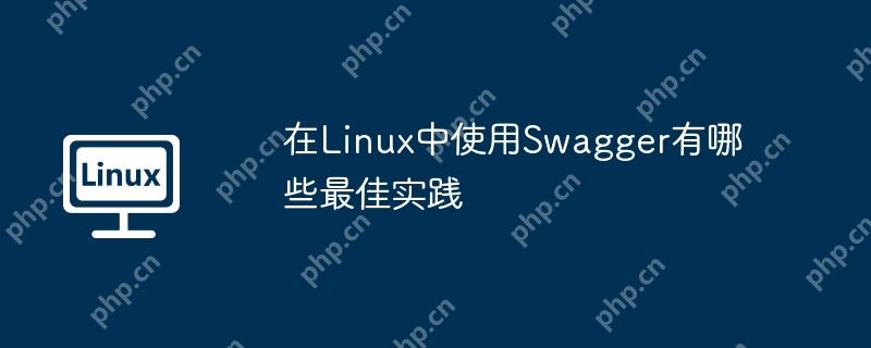 在Linux中使用Swagger有哪些最佳实践