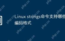Linux strings命令支持哪些编码格式