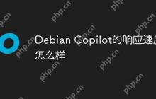 Debian Copilot的响应速度怎么样