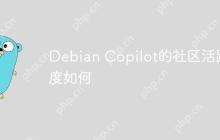 Debian Copilot的社区活跃度如何