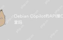 Debian Copilot的API接口丰富吗