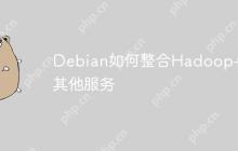 Debian如何整合Hadoop与其他服务