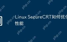 Linux SecureCRT如何优化性能
