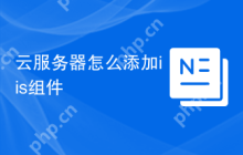 云服务器怎么添加iis组件