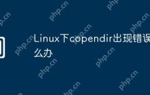 Linux下copendir出现错误怎么办