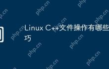 Linux C++文件操作有哪些技巧