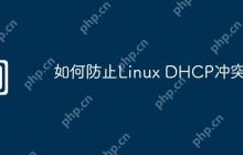 如何防止Linux DHCP冲突