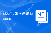 ubuntu如何调试aliases