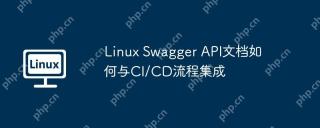 Linux Swagger API文档如何与CI/CD流程集成