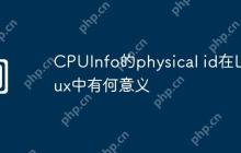 CPUInfo的physical id在Linux中有何意义