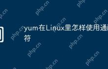 yum在Linux里怎样使用通配符