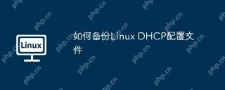 如何备份Linux DHCP配置文件
