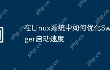 在Linux系统中如何优化Swagger启动速度
