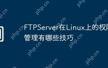 FTPServer在Linux上的权限管理有哪些技巧