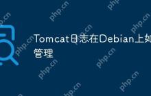 Tomcat日志在Debian上如何管理