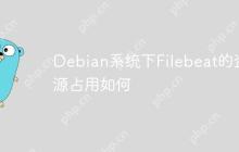 Debian系统下Filebeat的资源占用如何