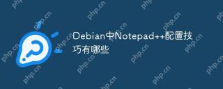 Debian中Notepad++配置技巧有哪些