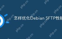 怎样优化Debian SFTP性能
