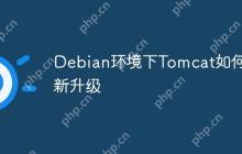 Debian环境下Tomcat如何更新升级