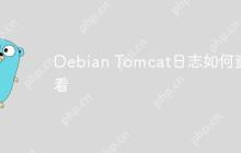 Debian Tomcat日志如何查看