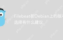 Filebeat在Debian上的版本选择有什么建议