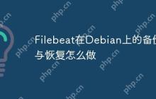 Filebeat在Debian上的备份与恢复怎么做