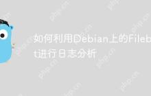 如何利用Debian上的Filebeat进行日志分析