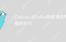 Debian上Kafka性能调优有哪些技巧