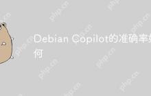 Debian Copilot的准确率如何