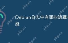 Debian日志中有哪些隐藏功能