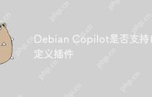 Debian Copilot是否支持自定义插件