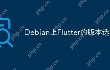 Debian上Flutter的版本选择
