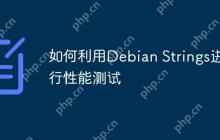 如何利用Debian Strings进行性能测试