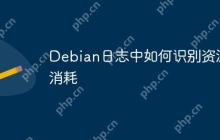 Debian日志中如何识别资源消耗