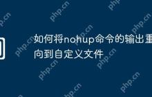 如何将nohup命令的输出重定向到自定义文件