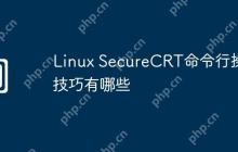 Linux SecureCRT命令行操作技巧有哪些