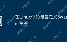 在Linux中如何自定义Swagger主题