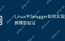 Linux中Swagger如何实现数据模型验证