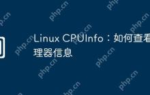 Linux CPUInfo:如何查看处理器信息