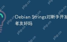 Debian Strings对新手开发者友好吗